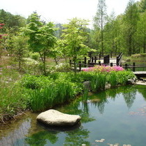 미동산수목원